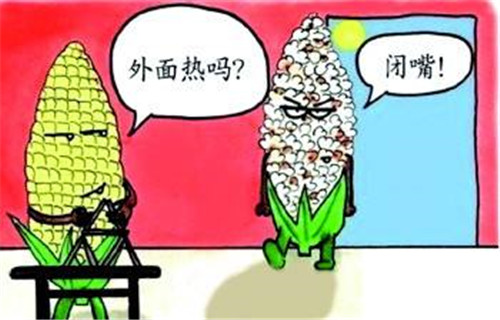 高温降暑 (2)_副本.jpg 高温降暑 (2)_副本.jpg