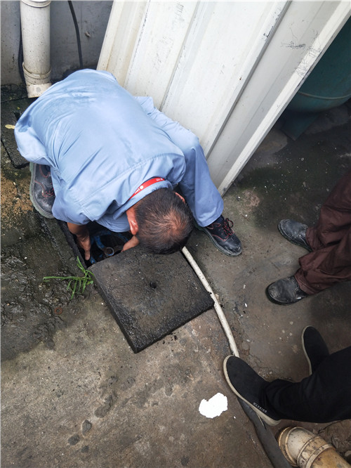 37度高温 (1)_副本.jpg 37度高温 (1)_副本.jpg