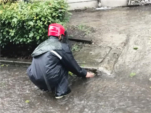 迎战台风1_副本.jpg